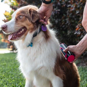 GroomSilk | Reinigingsborstel voor honden