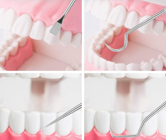 DentalPro™ - Roestvrij Stalen Tandenstoker Set van 7