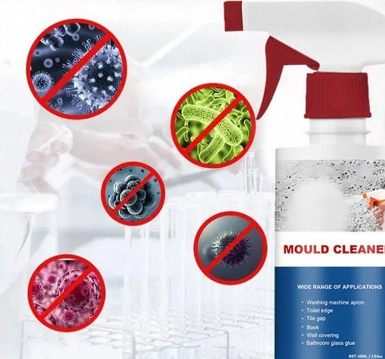 Schimmel Reinigende Schuim | 1 + 1 GRATIS