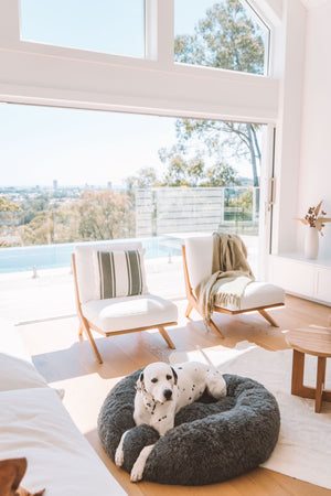 TranquilPaws™ Kussen om te kalmeren