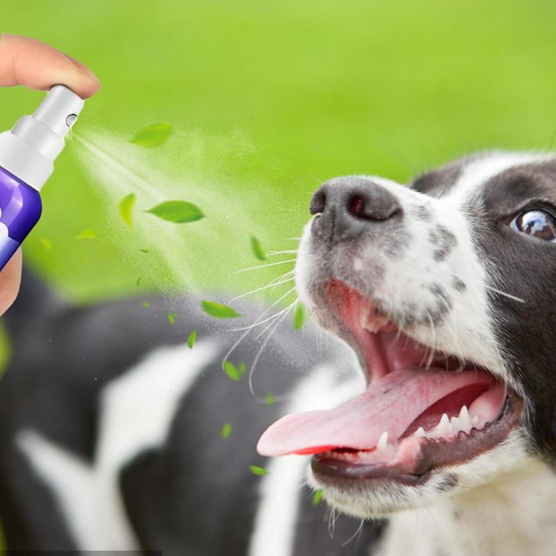 Gebitsreiniging voor Huisdieren | 1+1 GRATIS