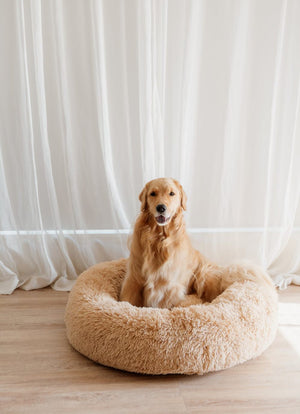 TranquilPaws™ Kussen om te kalmeren