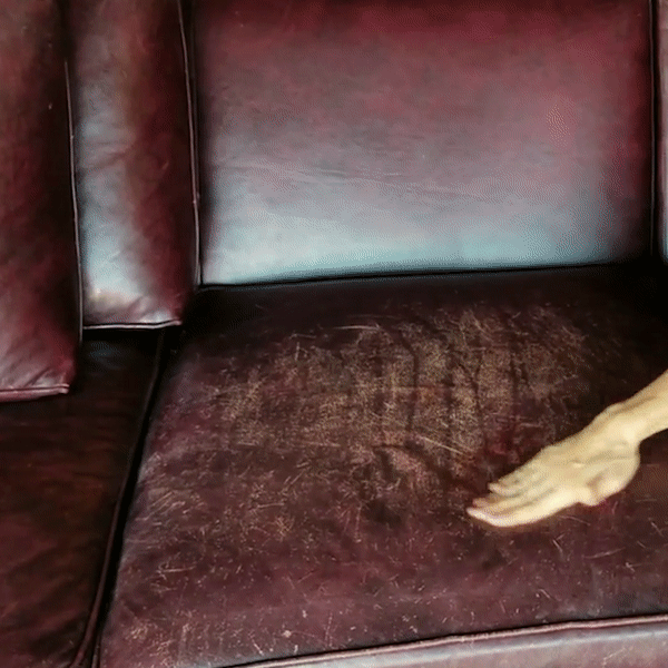 Leather Restore Agent | Geneest en herstelt bekrast leer