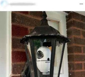 EnlightenCam™ | WiFi Lichtbollen bekijken