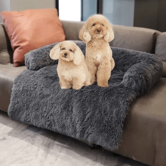 CalmDogs | Bescherm je meubels en laat je hond genieten