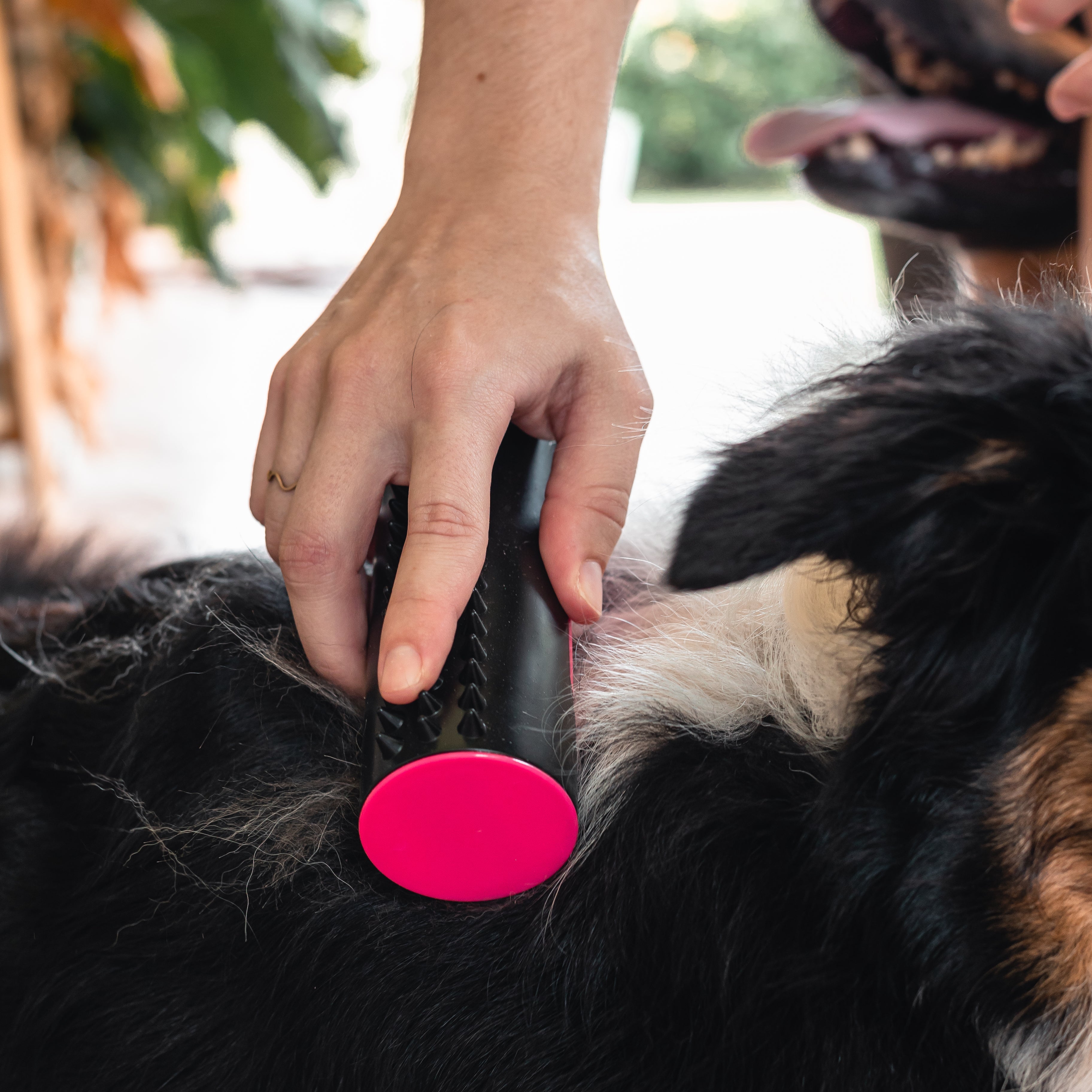 GroomSilk | Reinigingsborstel voor honden