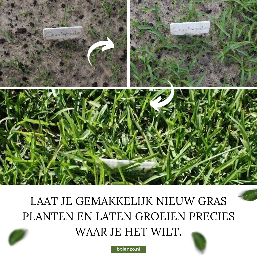 GazonPerfect | Ga voor een geweldige gezonde grasmat