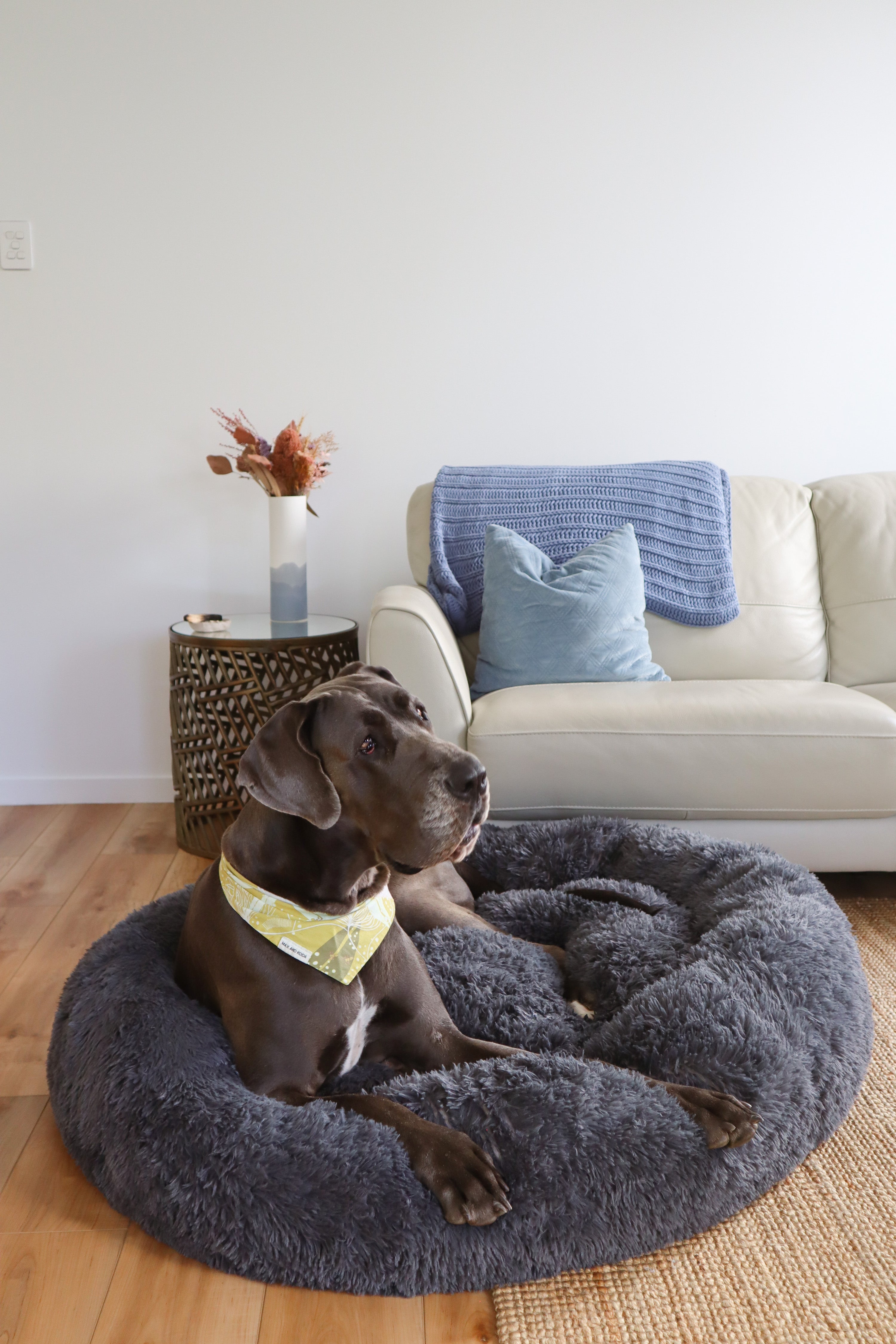 TranquilPaws™ Kussen om te kalmeren