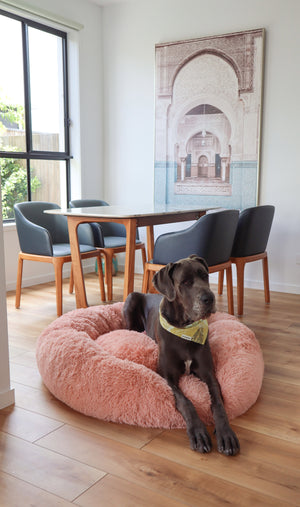 TranquilPaws™ Kussen om te kalmeren