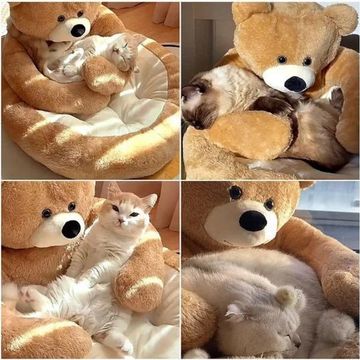 HuggyBear | Het perfecte bed voor jou beste vriend